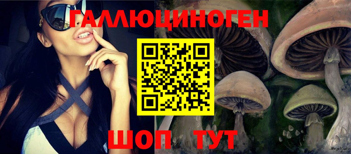 Псилоцибиновые грибы ЛСД Лесосибирск