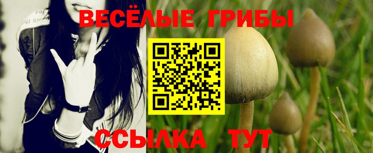 Лесосибирск  Псилоцибиновые грибы прущие грибы  цена наркотик  Вход с VPN  Псилоцибиновые грибы MAGIC MUSHROOMS 