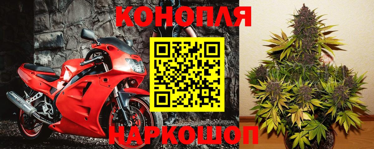 Марихуана гибрид Лесосибирск